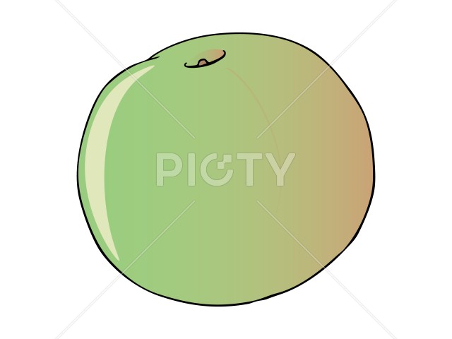 写真のタイトルが入ります