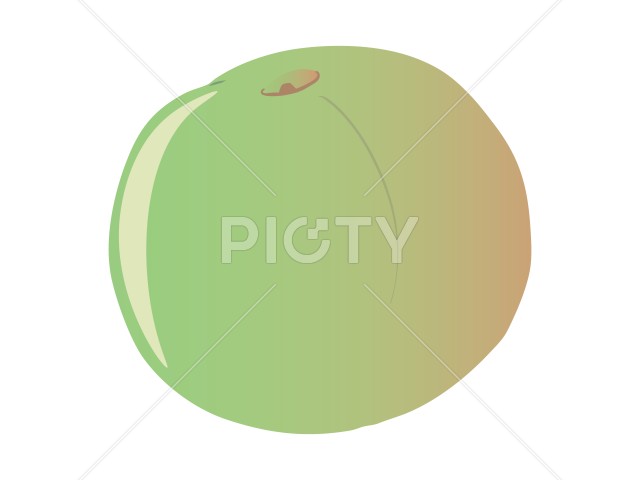 写真のタイトルが入ります