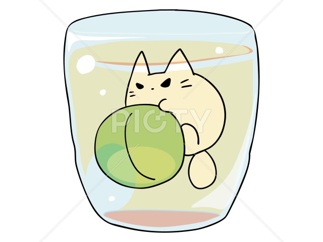 写真のタイトルが入ります