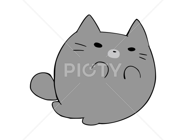 写真のタイトルが入ります