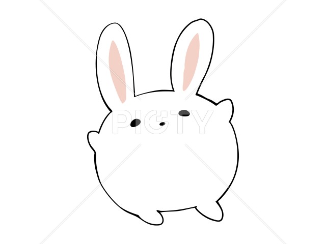 写真のタイトルが入ります