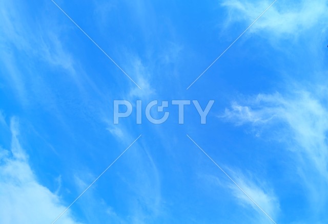 写真のタイトルが入ります