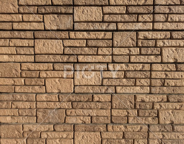 写真のタイトルが入ります