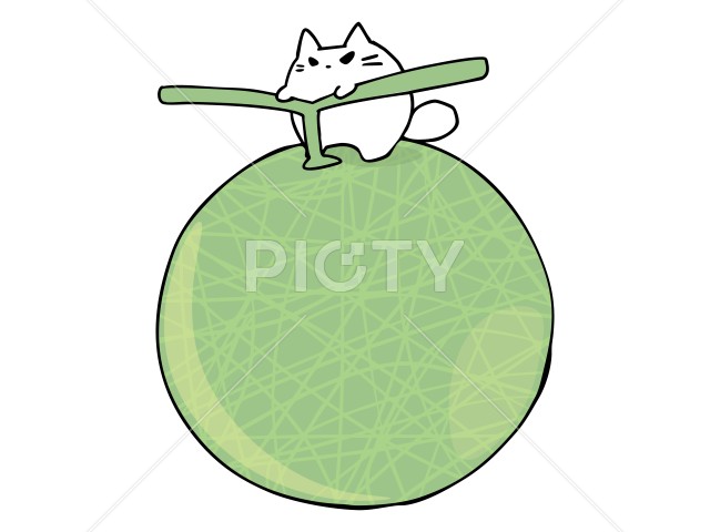 写真のタイトルが入ります