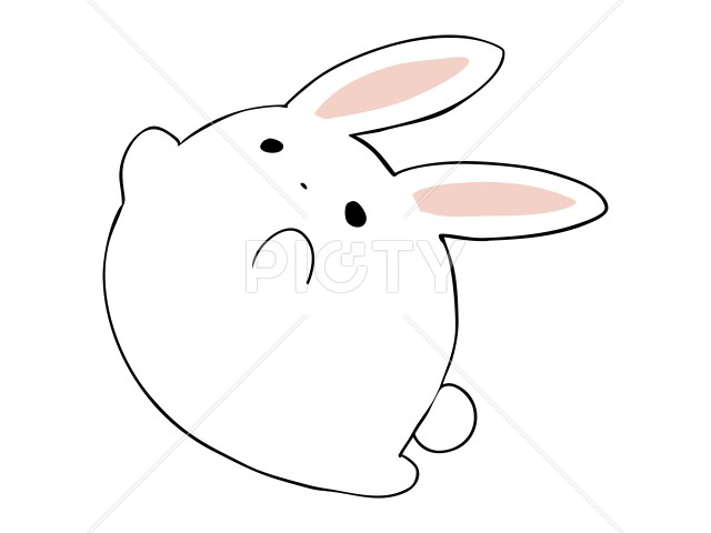 写真のタイトルが入ります