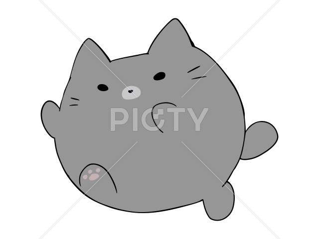 写真のタイトルが入ります