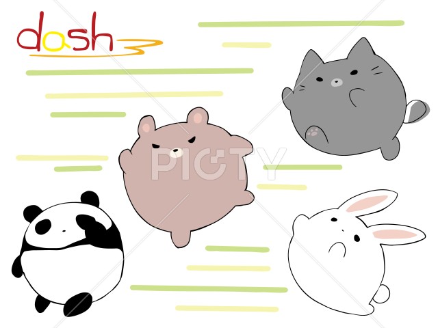 写真のタイトルが入ります