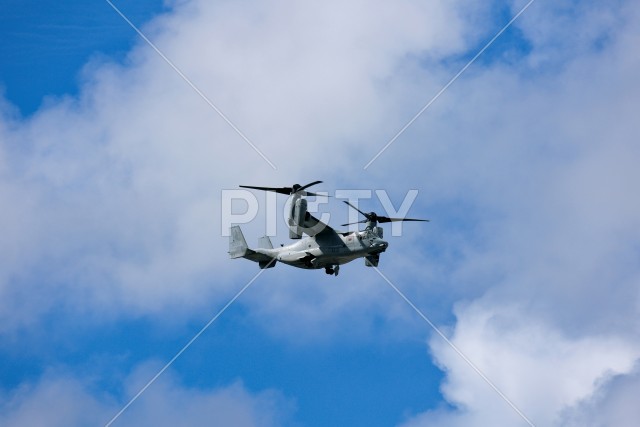 写真のタイトルが入ります