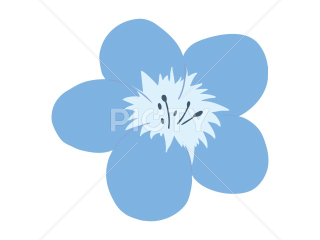 写真のタイトルが入ります