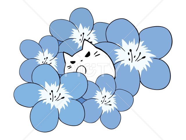 写真のタイトルが入ります