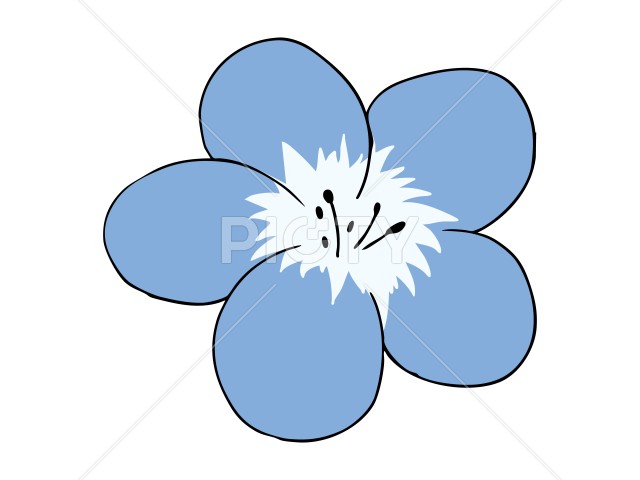 写真のタイトルが入ります