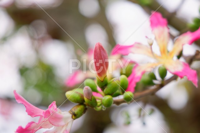 写真のタイトルが入ります