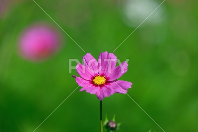 写真のタイトルが入ります