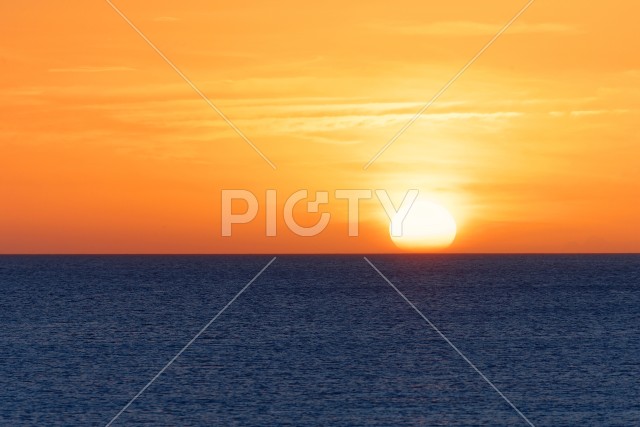 写真のタイトルが入ります
