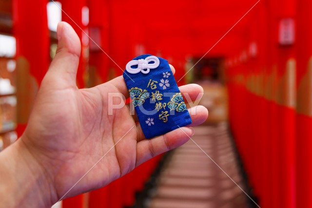 写真のタイトルが入ります