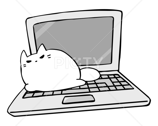 写真のタイトルが入ります