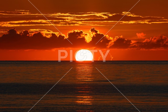 写真のタイトルが入ります