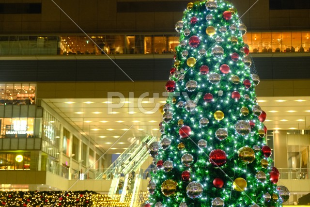 JR大阪駅のクリスマスツリーのイルミネーション