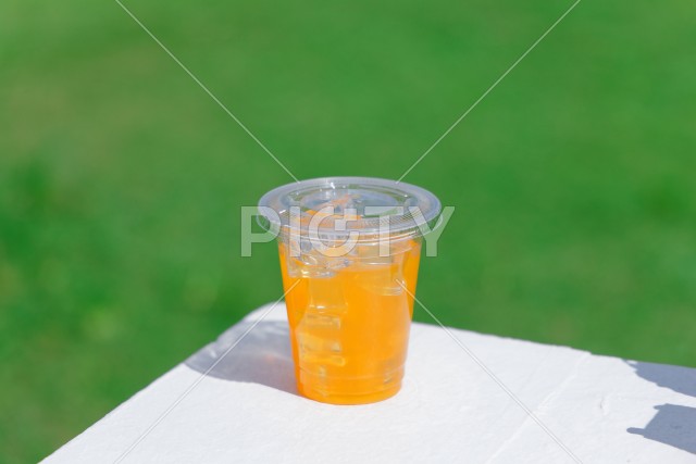 写真のタイトルが入ります
