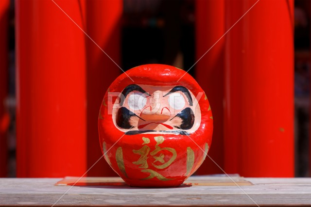 写真のタイトルが入ります