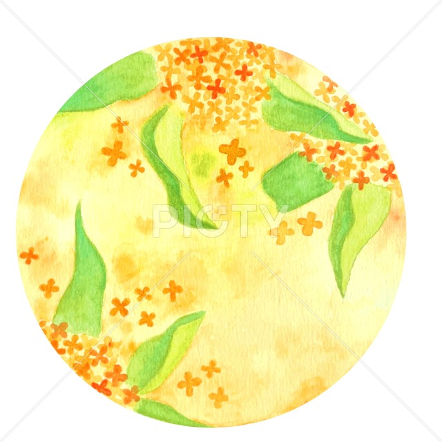 金木犀と葉の手描き水彩イラスト
