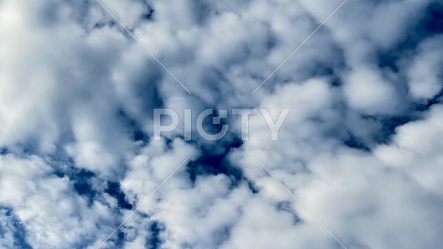 写真のタイトルが入ります