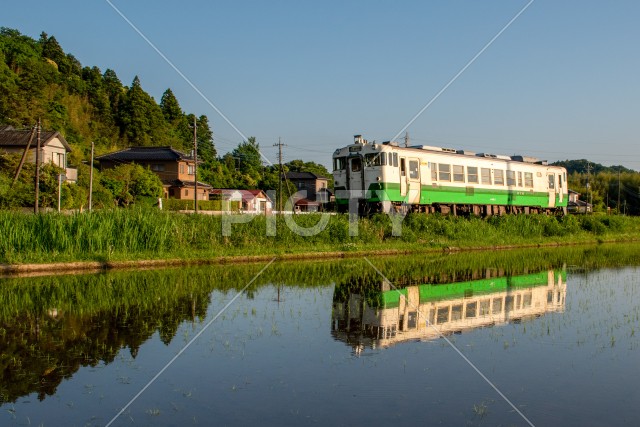 写真のタイトルが入ります