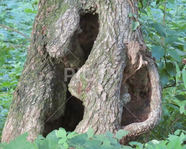 写真のタイトルが入ります