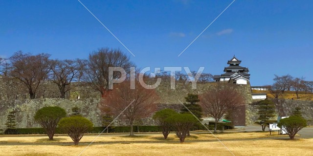 写真のタイトルが入ります