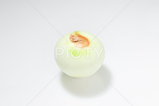 写真のタイトルが入ります