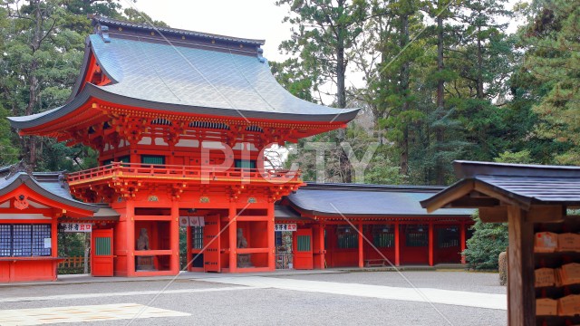 写真のタイトルが入ります