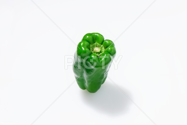 写真のタイトルが入ります
