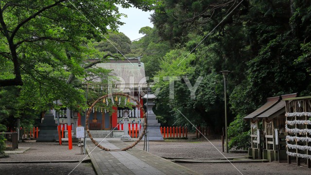 写真のタイトルが入ります