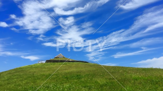 写真のタイトルが入ります