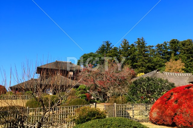 写真のタイトルが入ります