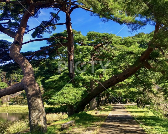 写真のタイトルが入ります