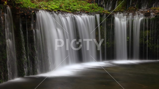 写真のタイトルが入ります