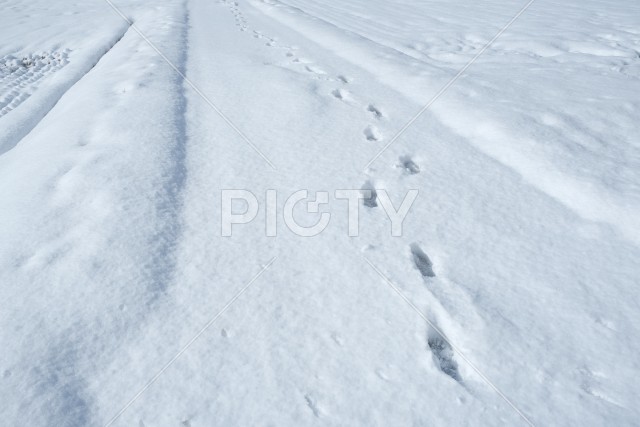 雪積もる道と足跡