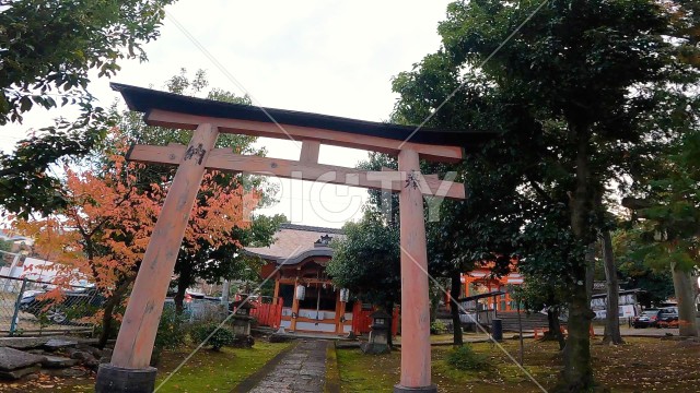赤い鳥居　神社の参道　稲荷