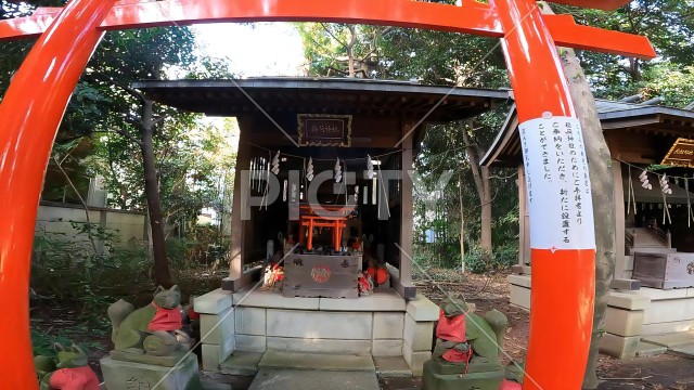 赤い鳥居と稲荷神社　下高井戸八幡神社