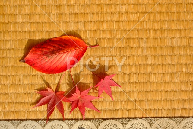 紅葉した葉が置かれた畳の秋のイメージ