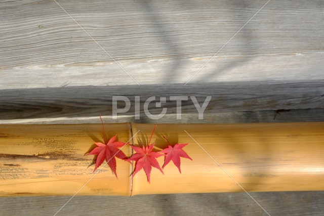 モミジが置かれた竹柵の秋のイメージ素材
