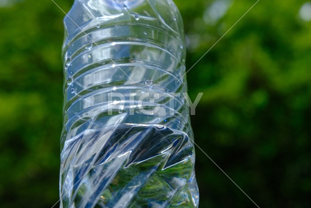 緑の中の飲料水