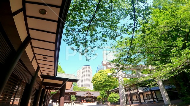 十二社熊野神社 日本、東京、新宿区。新宿中央公園そばの自然あふれる神社