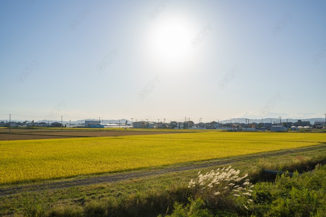 宮城県の名取市にある田園風景　田園と照り付ける太陽
