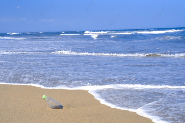 海のポイ捨てによる環境問題