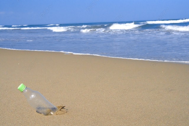 海のごみのポイ捨てによる環境問題