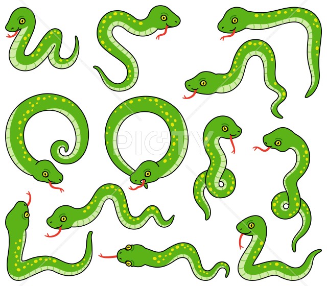 色んなポーズの蛇のイラスト【カラー・セット】