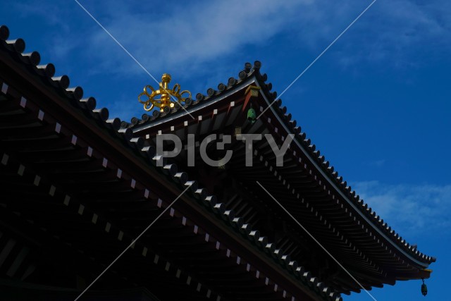 寺の屋根と青空