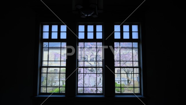 京都府庁旧本館の窓から見える春の中庭